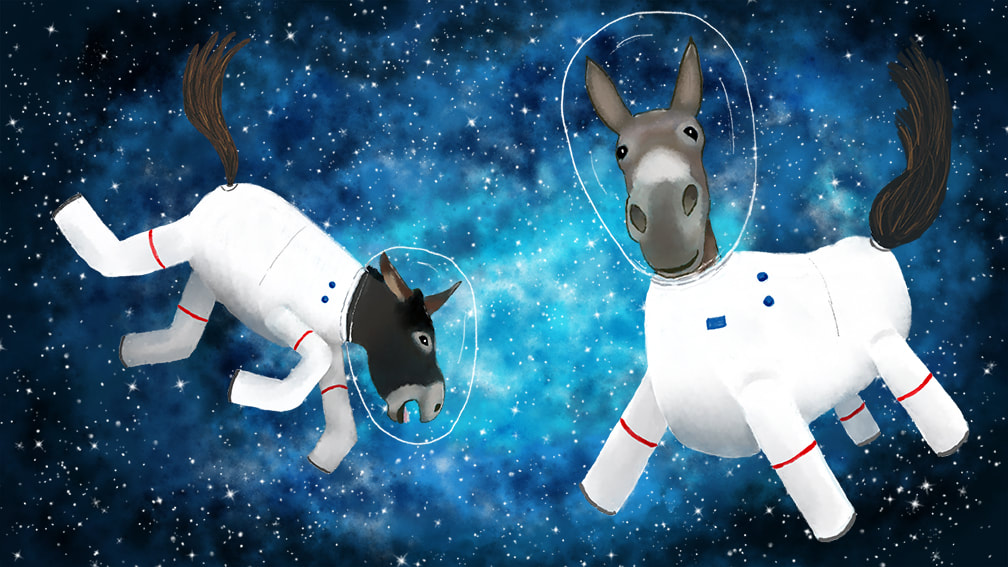 Donkeys in space funny children's illustration of two donkeys in space suits floating in outer space by Kim Wagner Nolan.