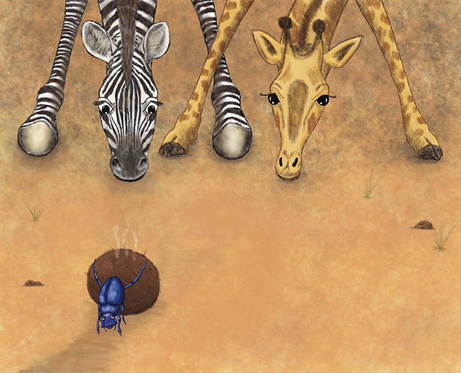 children's picture book illustration of a dung beetle rolling a ball of smelly dung while a giraffe and zebra stare by Kim Wagner Nolan