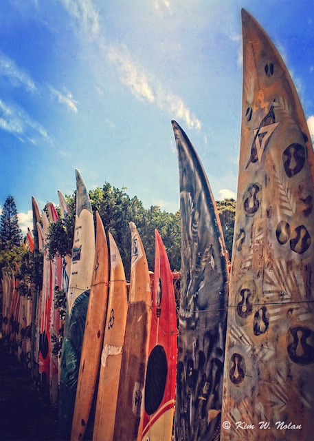 fence made from surfboards and kite boards photograph by Kim Wagner Nolan